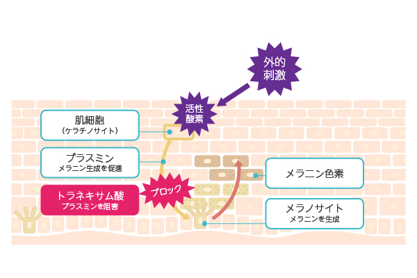 肌の漂白剤 ハイドロキノンクリームはシミに効果大だけど使い方に注意 ユニドラ