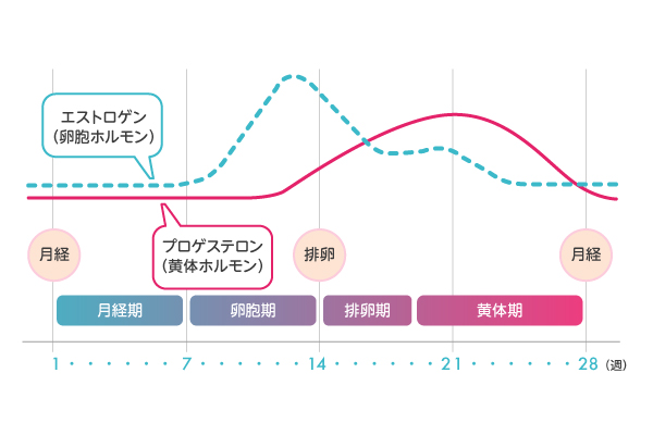 むくみを解消してダイエットをスムーズに むくむ原因から対処法を紹介 ヘルスケア記事 ユニドラ